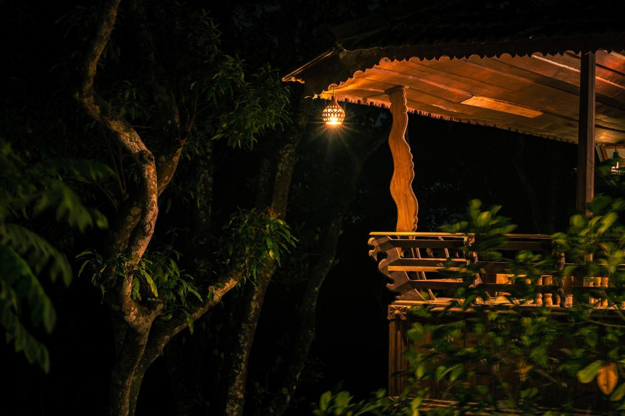 Kalpavanam Heritage Resort テッカディ エクステリア 写真